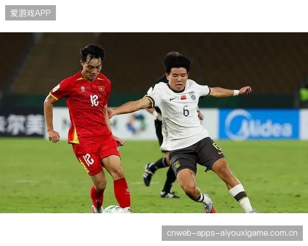 “亿元新援遭质疑”背后的真相与深度解析